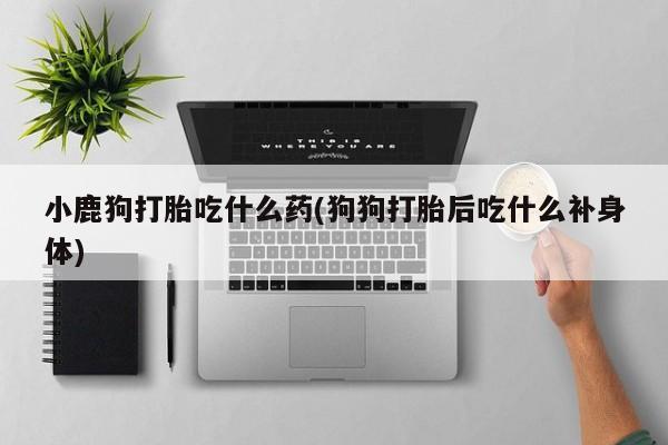 米非米索购买联系方式小鹿狗打胎吃什么药(狗狗打胎后吃什么补身体)