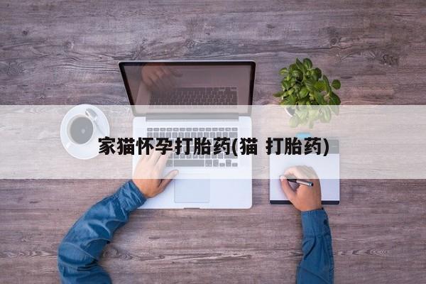 米非米索购买联系方式家猫怀孕打胎药(猫 打胎药)