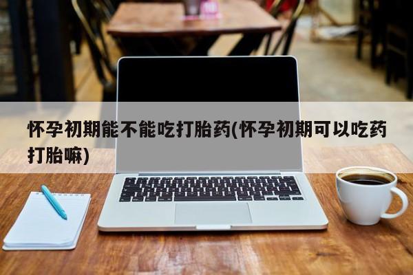 米非米索购买联系方式怀孕初期能不能吃打胎药(怀孕初期可以吃药打胎嘛)